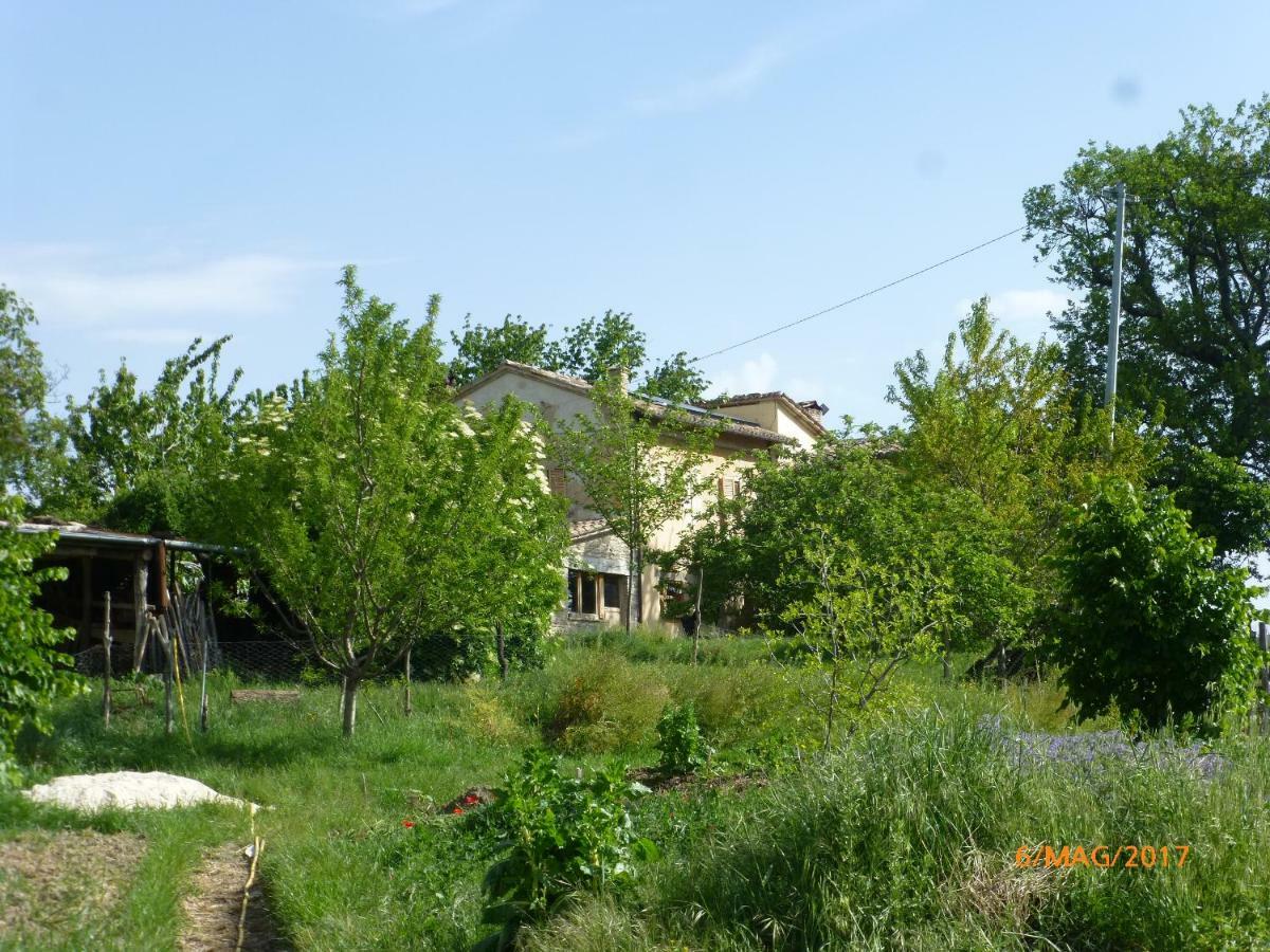 Casa Della Casa Apartment San Severino Marche Exterior photo